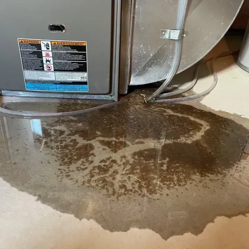 Appliance Leak Cleanup in Malabar, FL